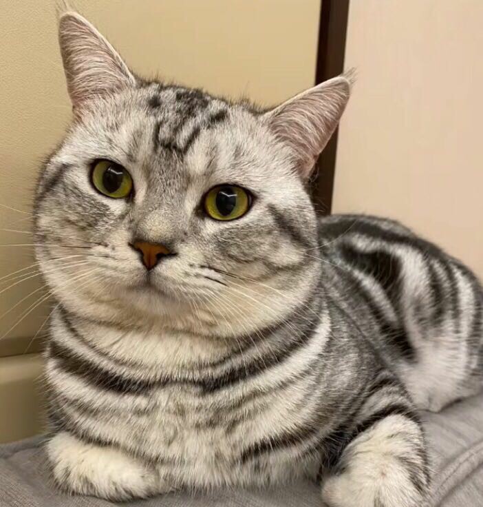 晚风依旧很温柔