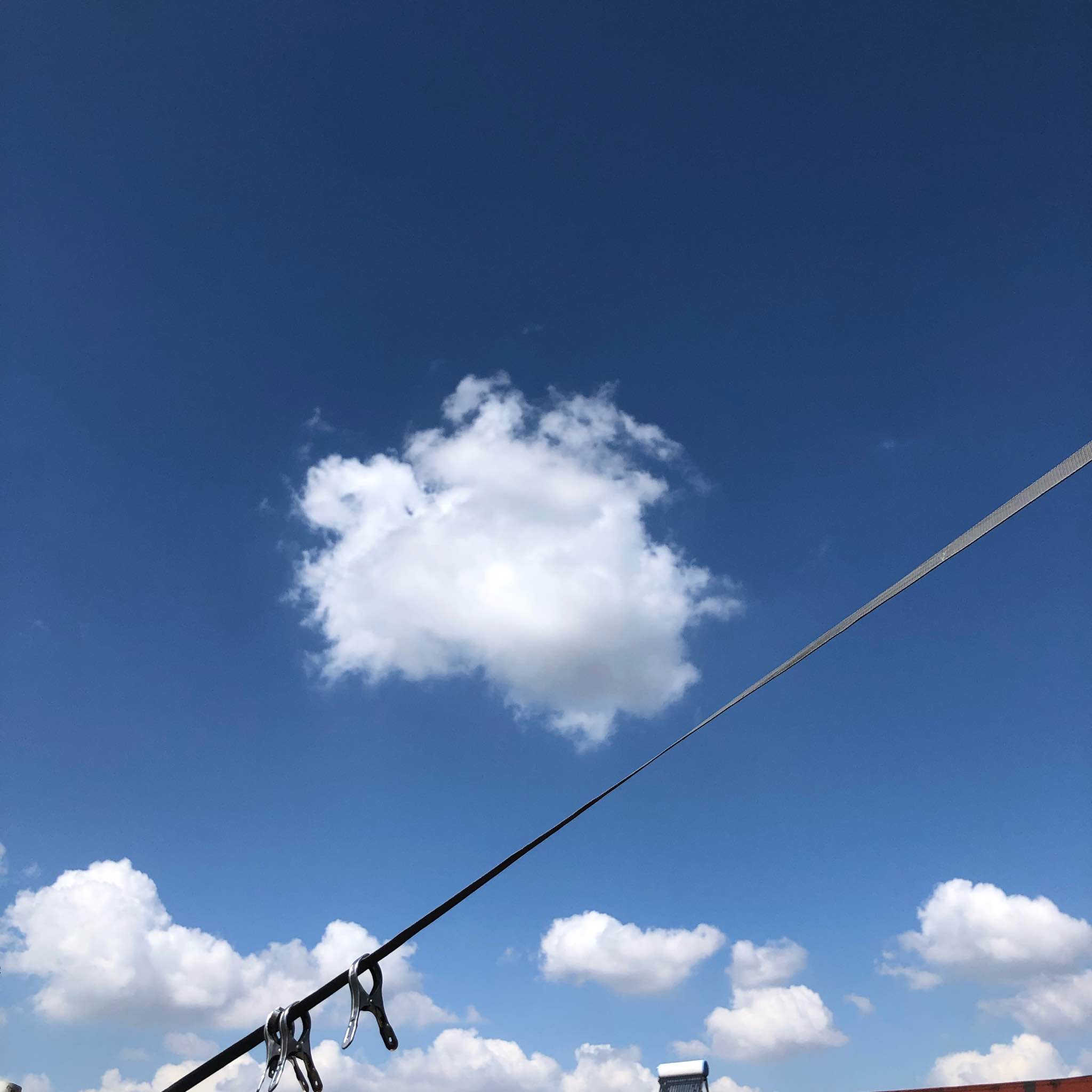 于小五的于小鱼