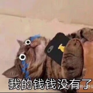 此时一个小狐狸嚣张的路过