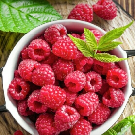 想n1犹如烟瘾般难戒↘