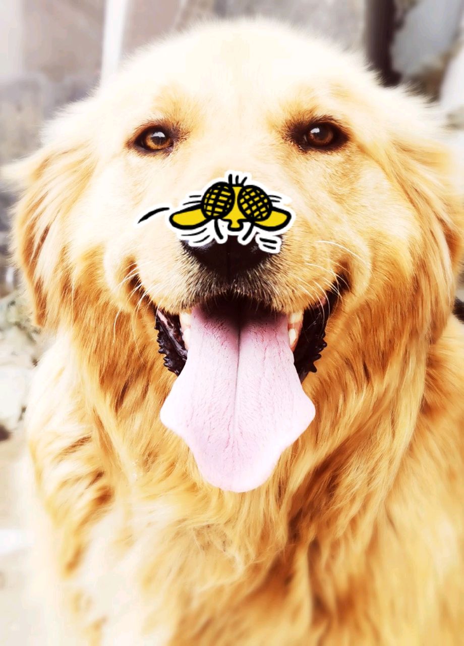 只是见你不忘从此思之如狂