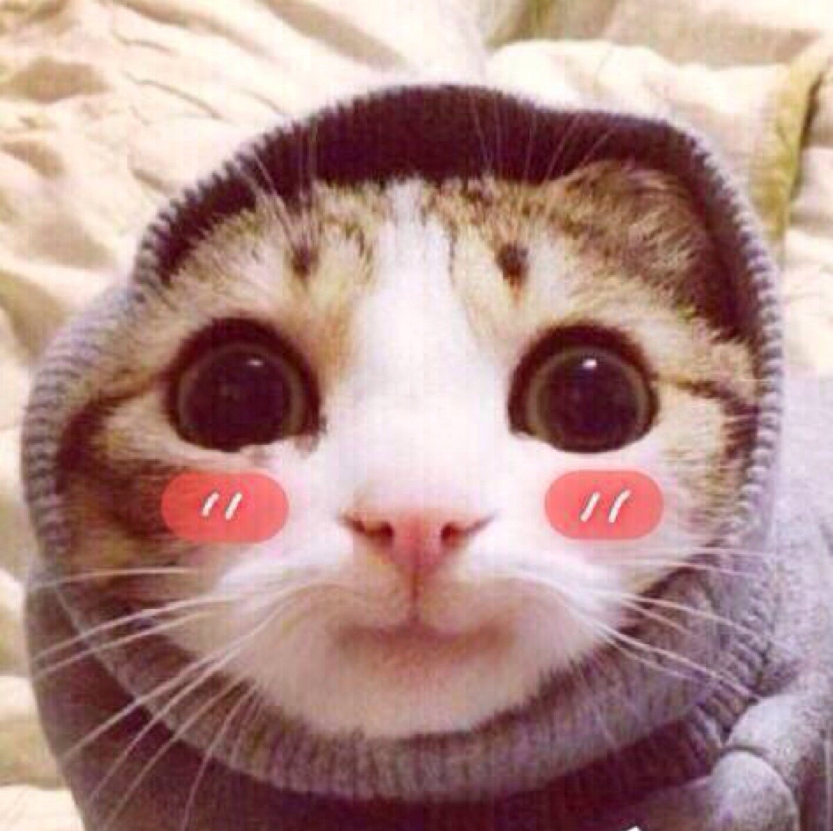 鱼大叔小食品牌方