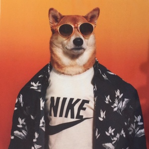 汉堡-只接受预定