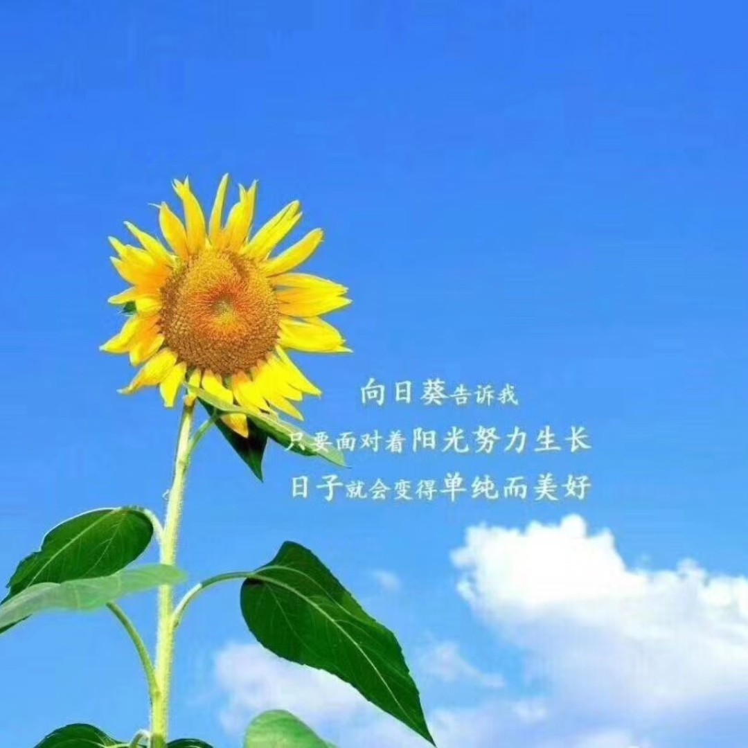 爱打扮(www.idaban.cn)，愉愉然也