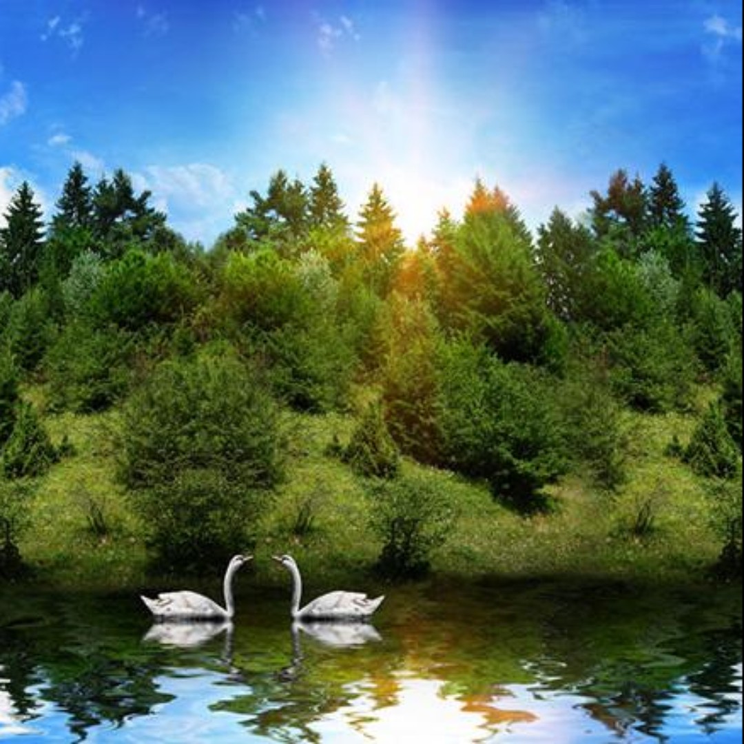 春风万里不如你的好