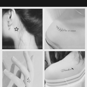 橙红色的朝霞红掌