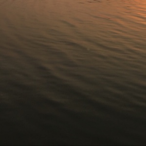 这是高手高手高手