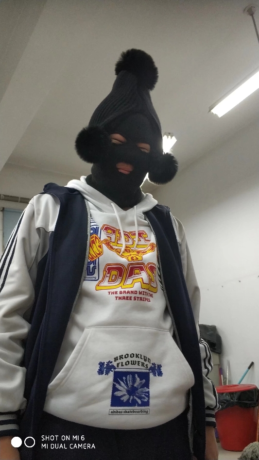 泰若星认真的榛子