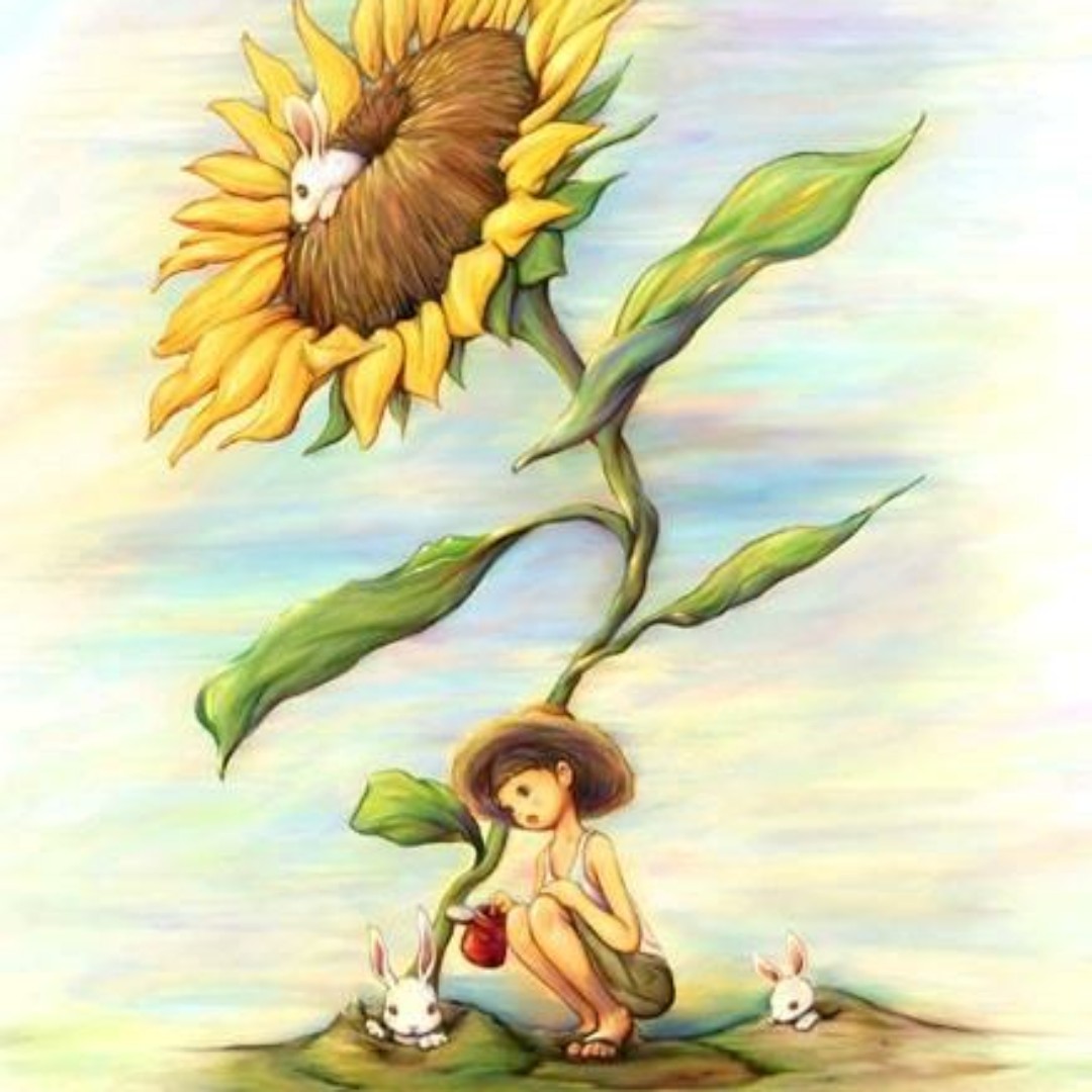 梦想是成为一条锦鲤