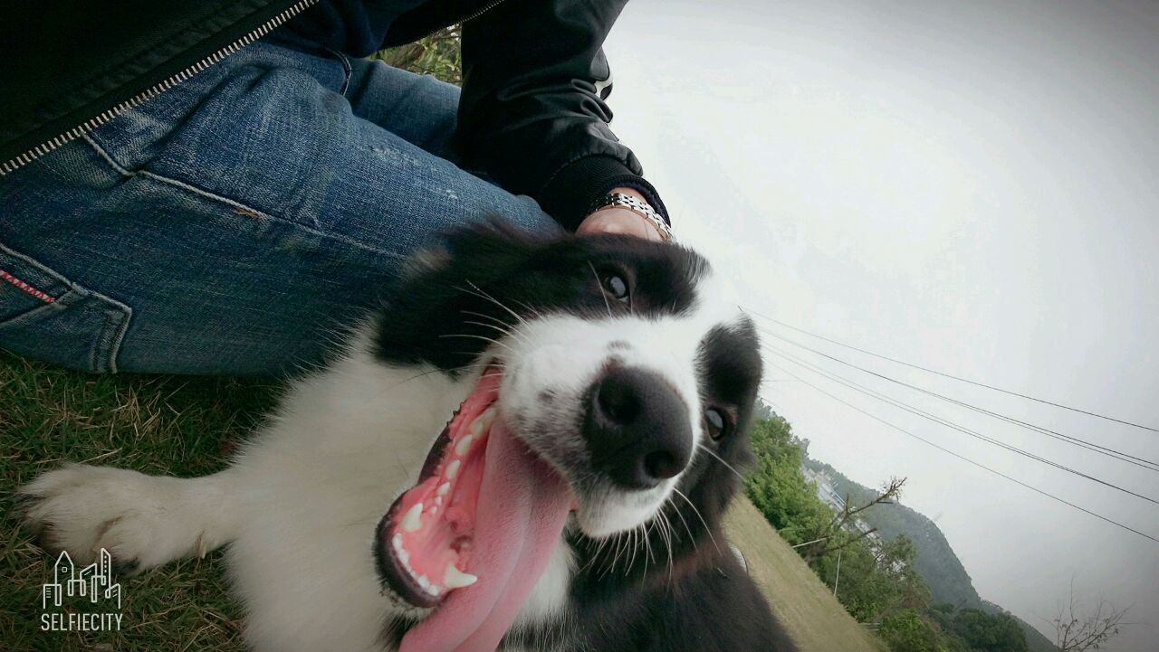 他的柠檬少加冰