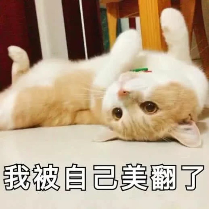 会嗷呜嗷呜的恐龙