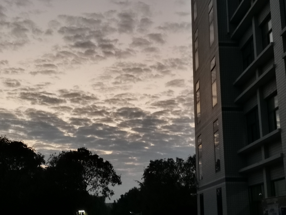 爱吃手工莜面的猫咪