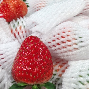 我爱吃铁板鱿鱼