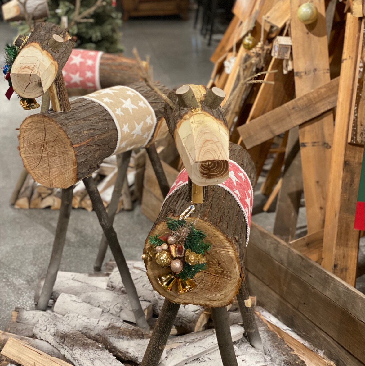 苹果绿的矮株叶苔