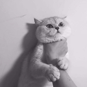 不是每个男人都叫林军