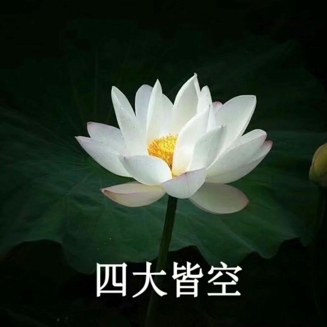爱打扮(www.idaban.cn)，庄东西是女神.