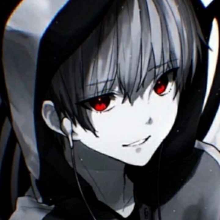 墨蓝的茶绒杜鹃