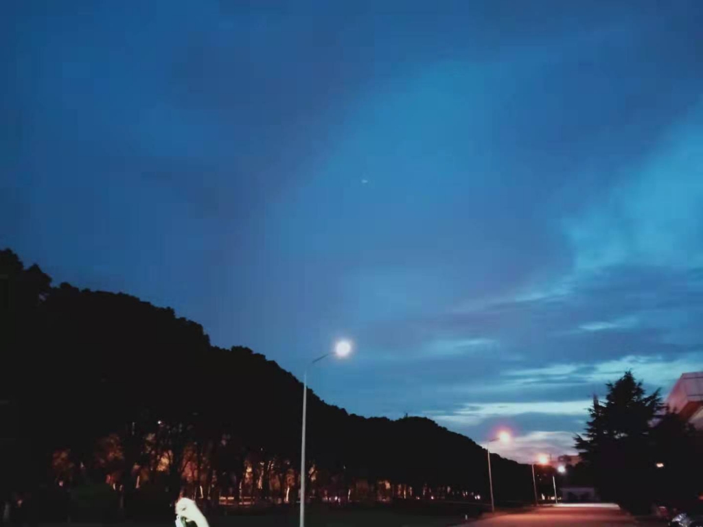 爱吃香椿竹笋的丘比特