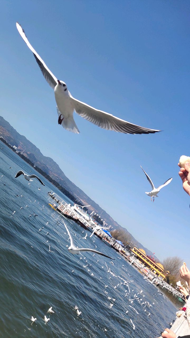 社会欧巴。。。