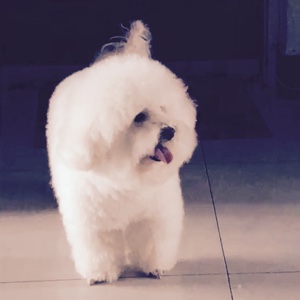 ①杯浊酒笑风尘