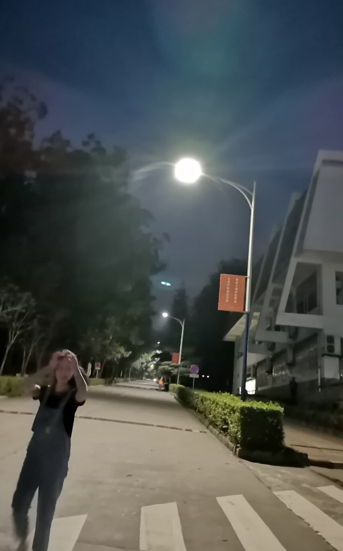 爱吃豆薯炒肉的芋头