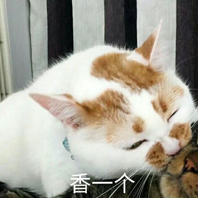 我要赚盆满钵满