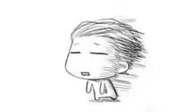 戆哒哒的树袋熊