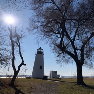 爱吃姜丝柴鱼的孙悟空