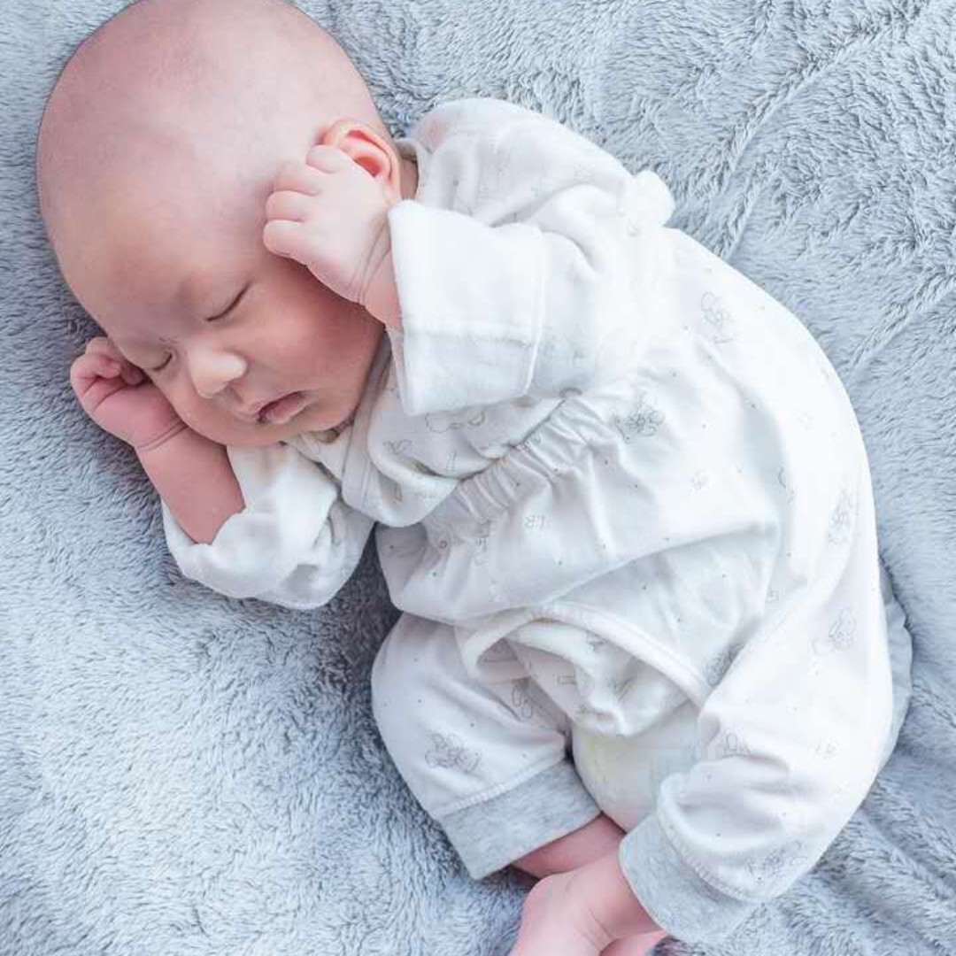 尋夢之旅:人生之路坎坷之躯