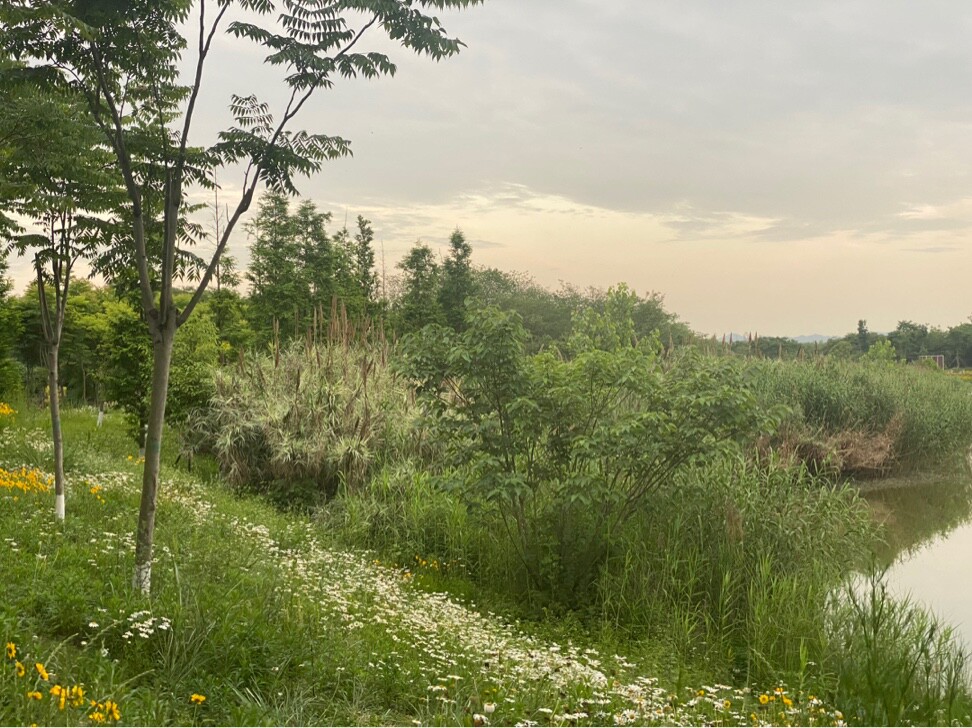 我的西班牙馅儿饼