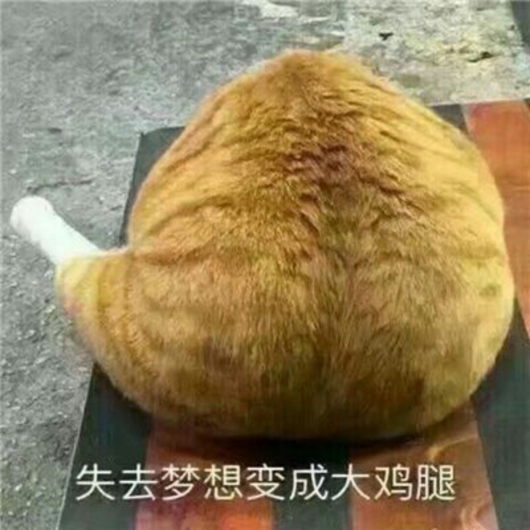 四喜丸子Ì