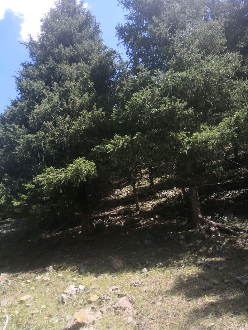 生活つ&amp;！！