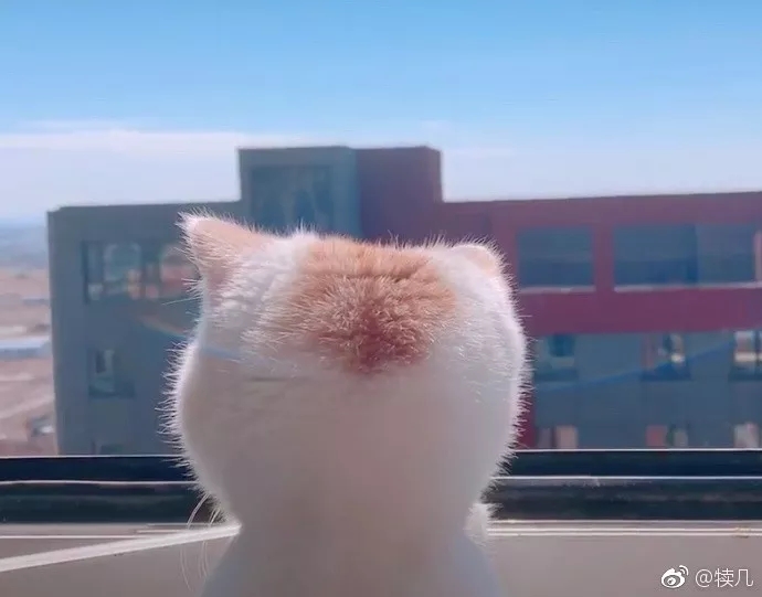 带你去香格里拉