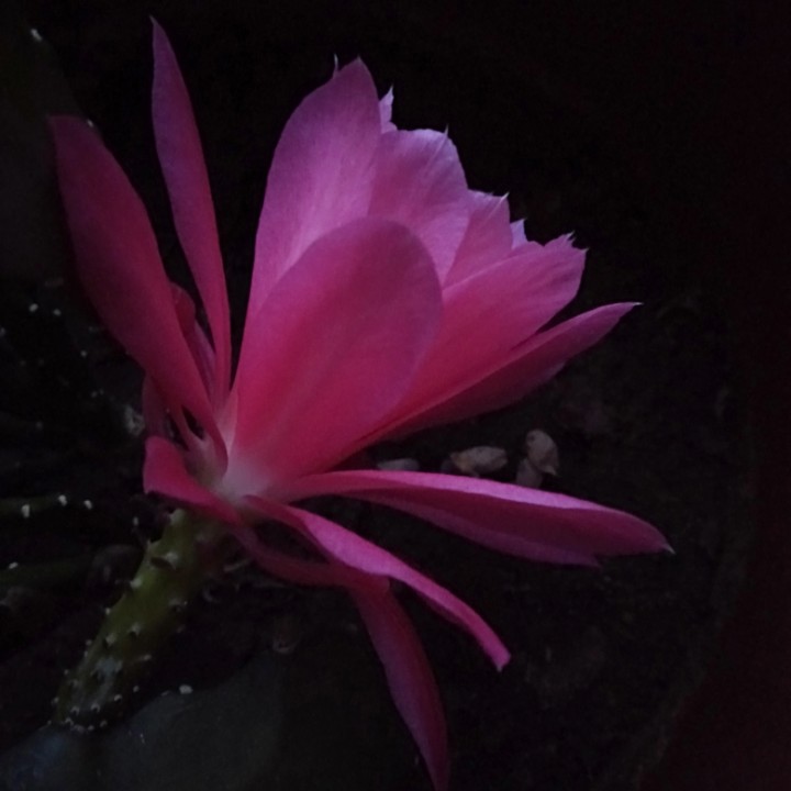 最最重要的宝贝儿