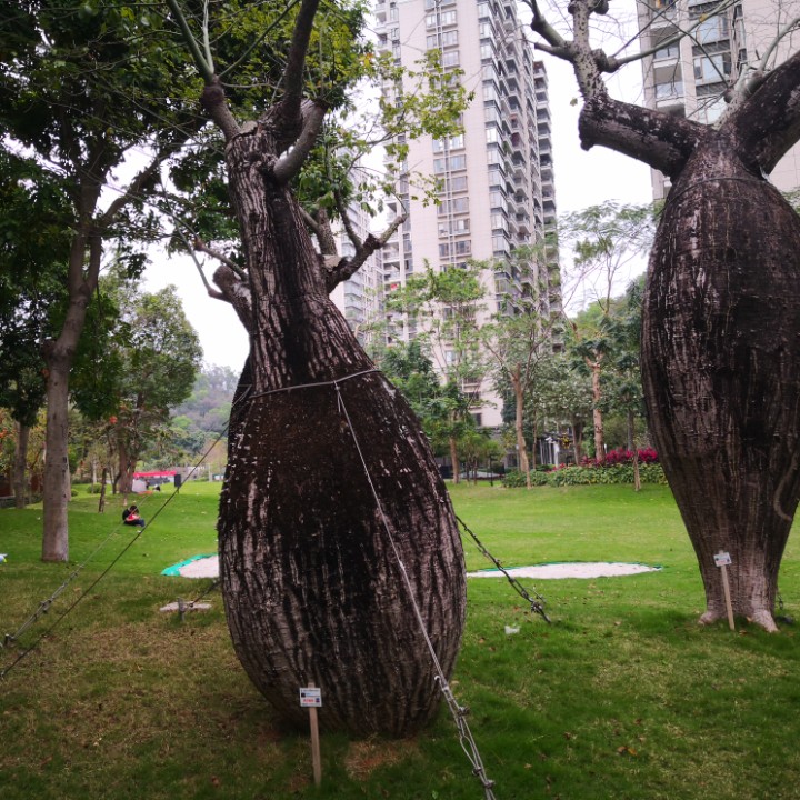 夕阳西下断肠人在刷呀