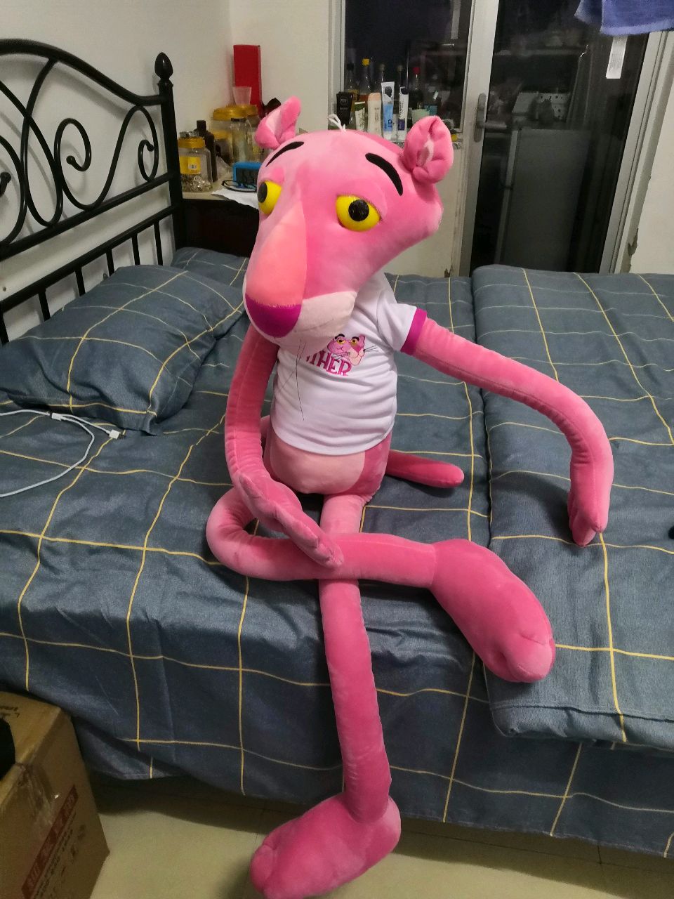 爱吃三文治的低语00