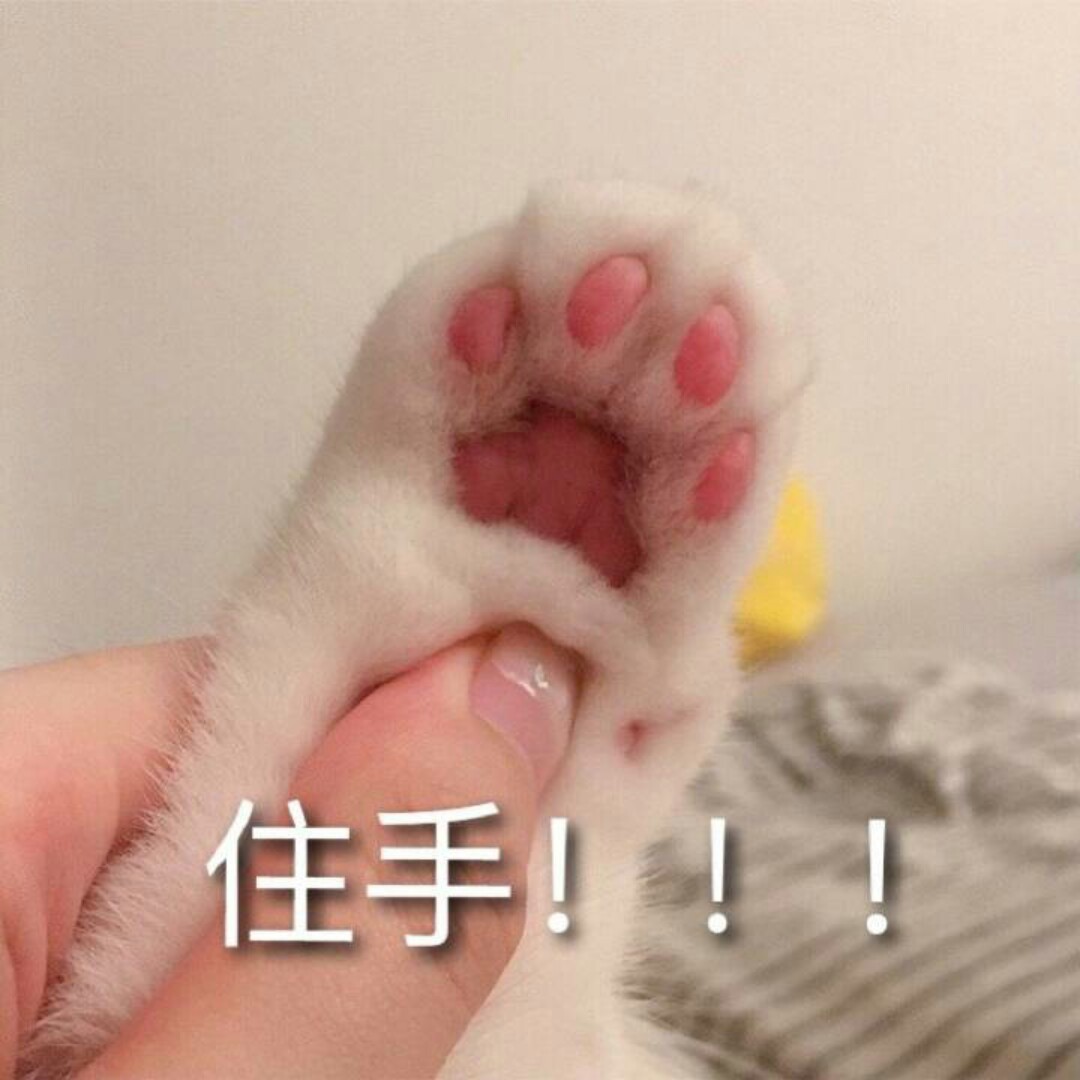 是支小猫咪哦