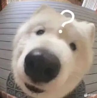 淘气买定离手用户