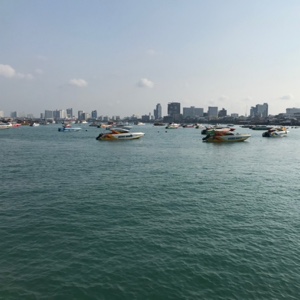 爱吃豆瓣蒸鱼的薏米