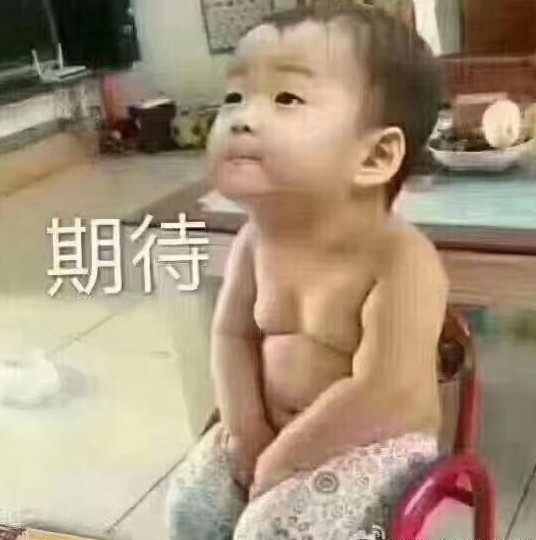 开心的一只小鸟