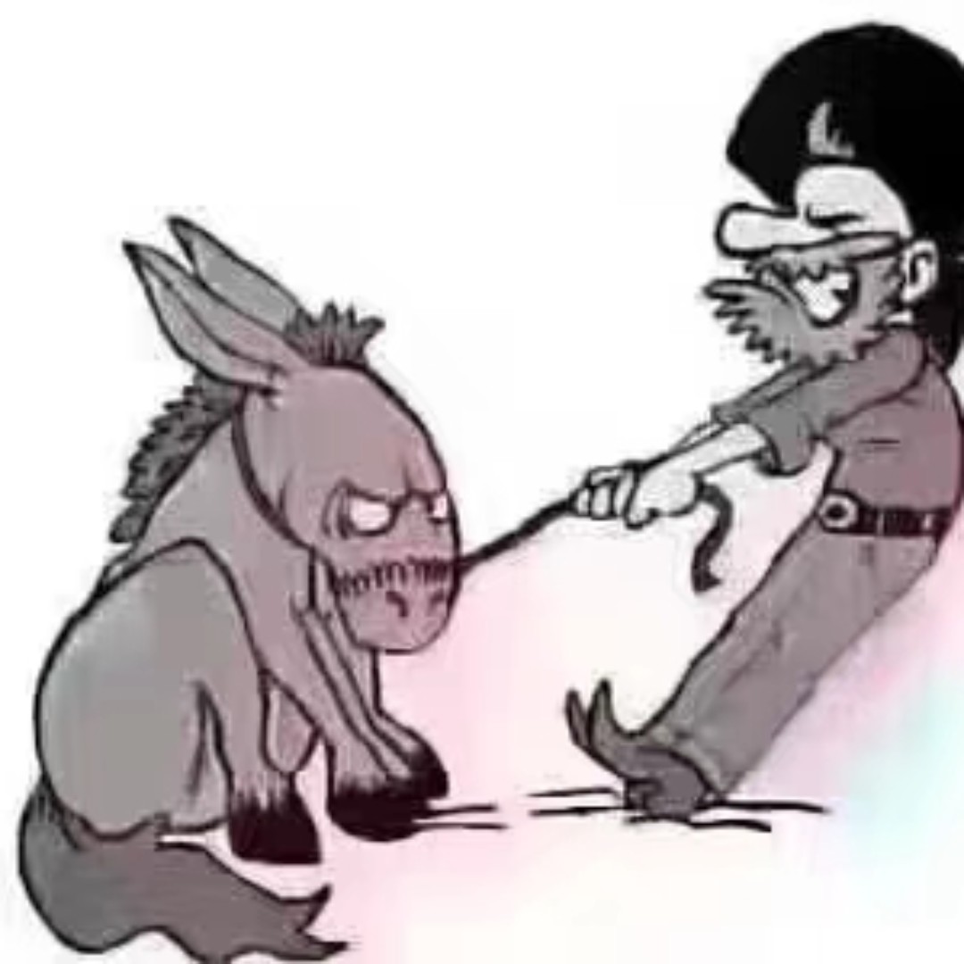 盘锦（蟹田大米）