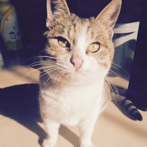 哈哈小哥的亲人