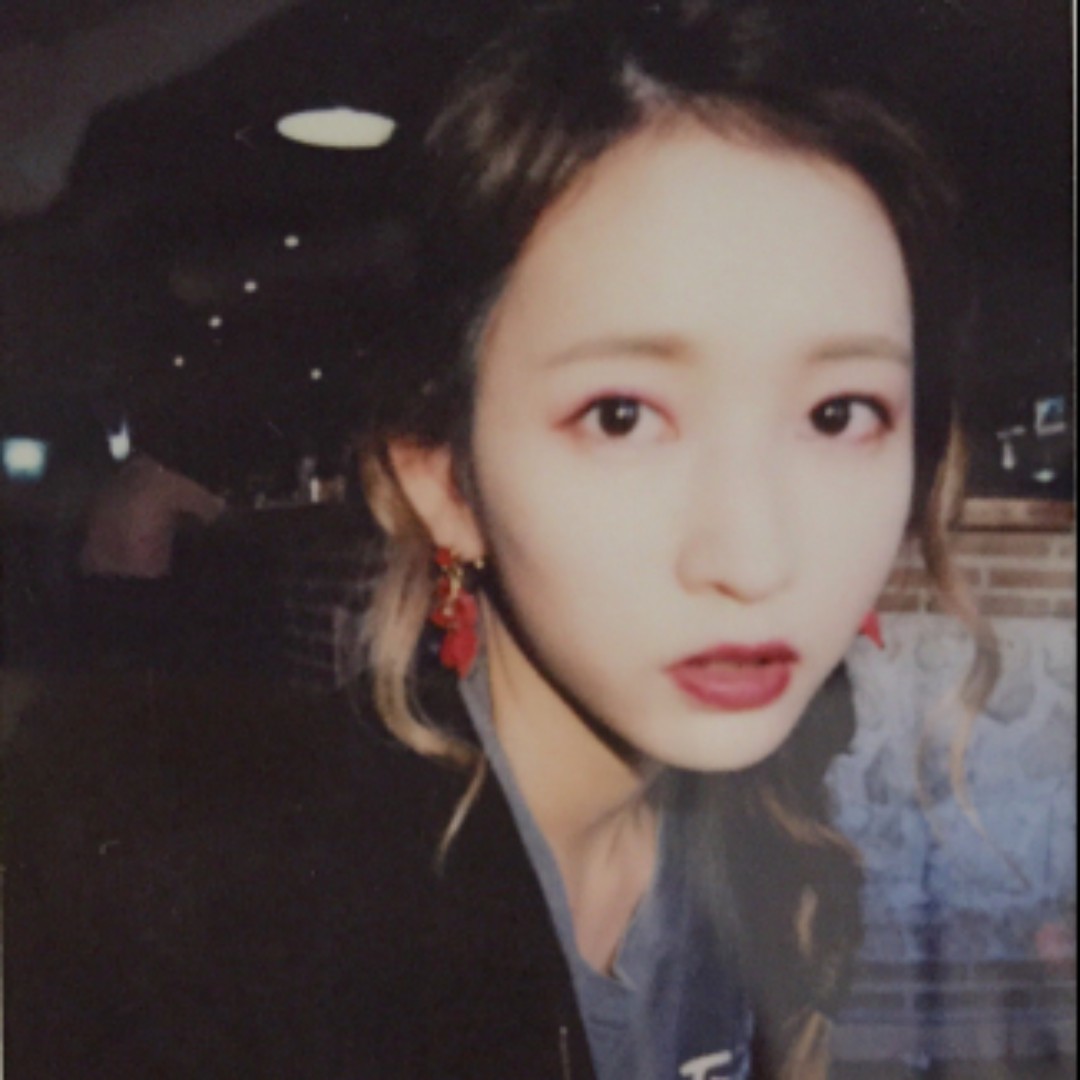 西伯利亚电音小狗