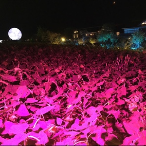 苏碧湖的砍柴人