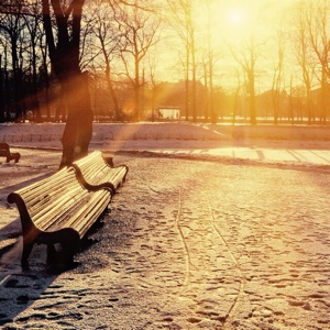 岁月静好一切随心