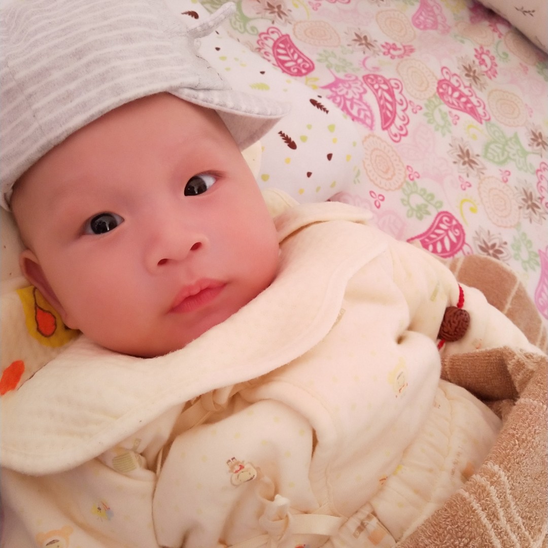 繁华落尽，贝贝