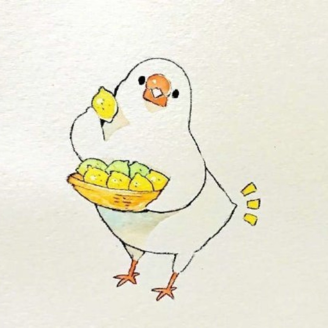 买买买别犹豫啦啦啦