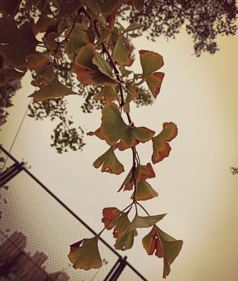 主动出击才会抓住机会