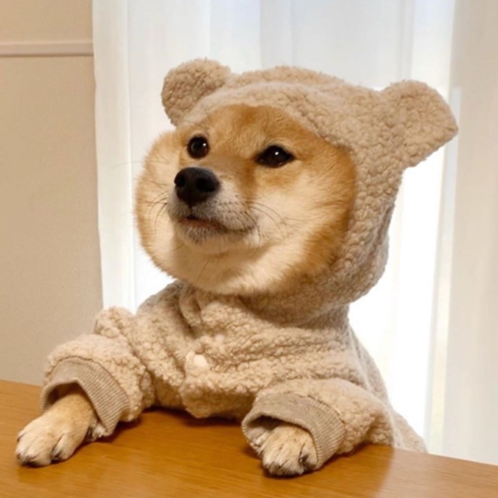 秃头小罗努力中