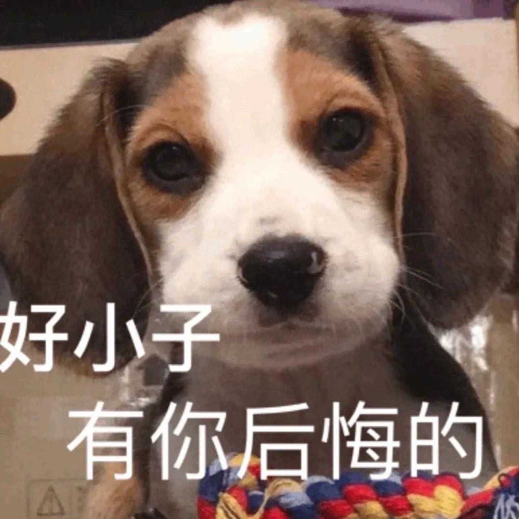 欧拉欧拉欧拉木大